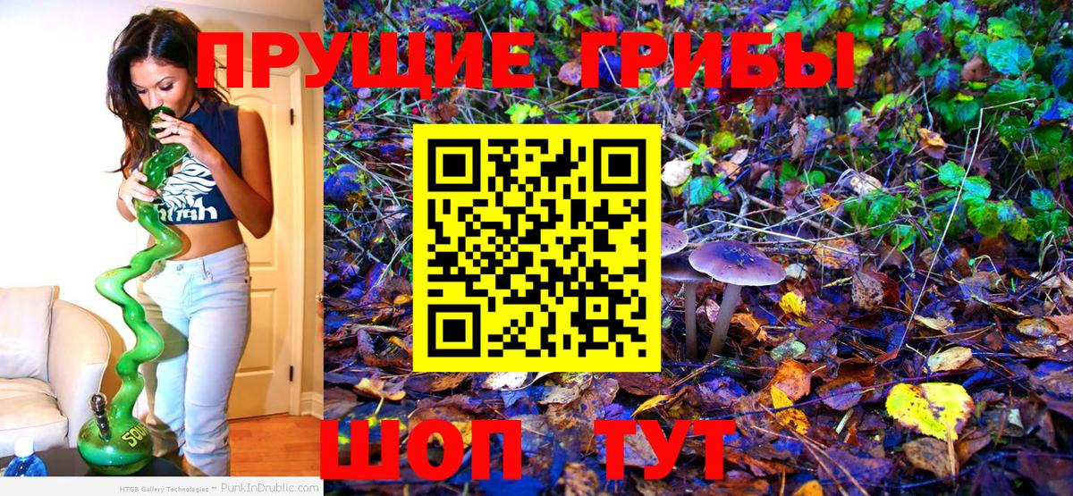 Псилоцибиновые грибы Cubensis Когалым